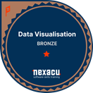 Bronze Data Visualisation Badge