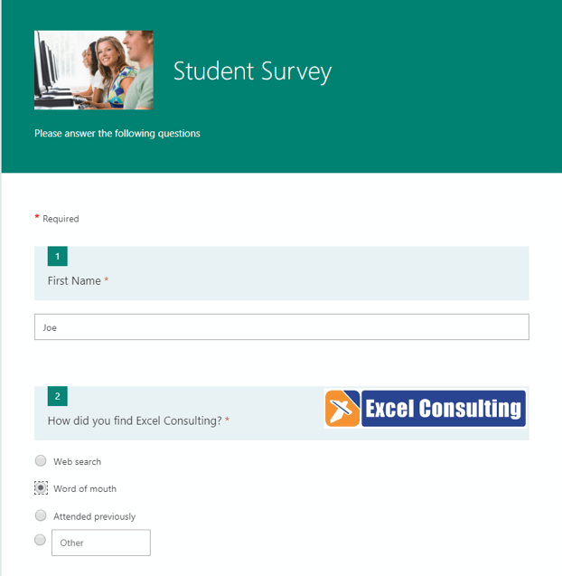 Excel Consulting student survey