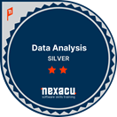 Silver Data Analysis Badge