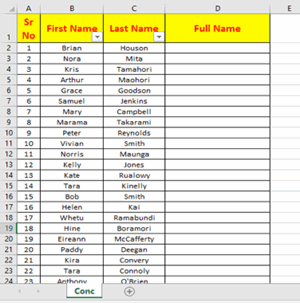 Microsoft Excel list with names