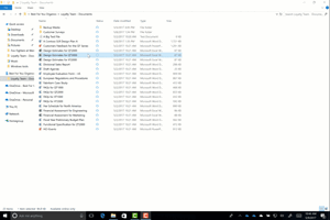 Screenshot of Windows File Explorer