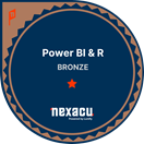 Bronze Power BI & R Badge