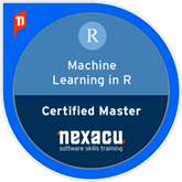 machine learning badge